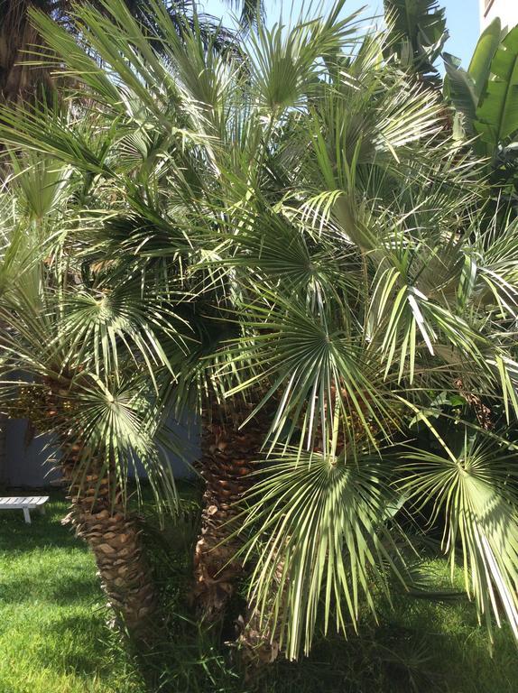 Hotel Ucciardhome Palermo