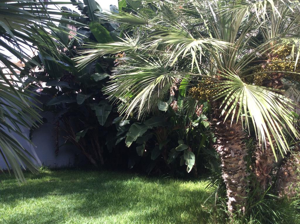 Ucciardhome Palermo